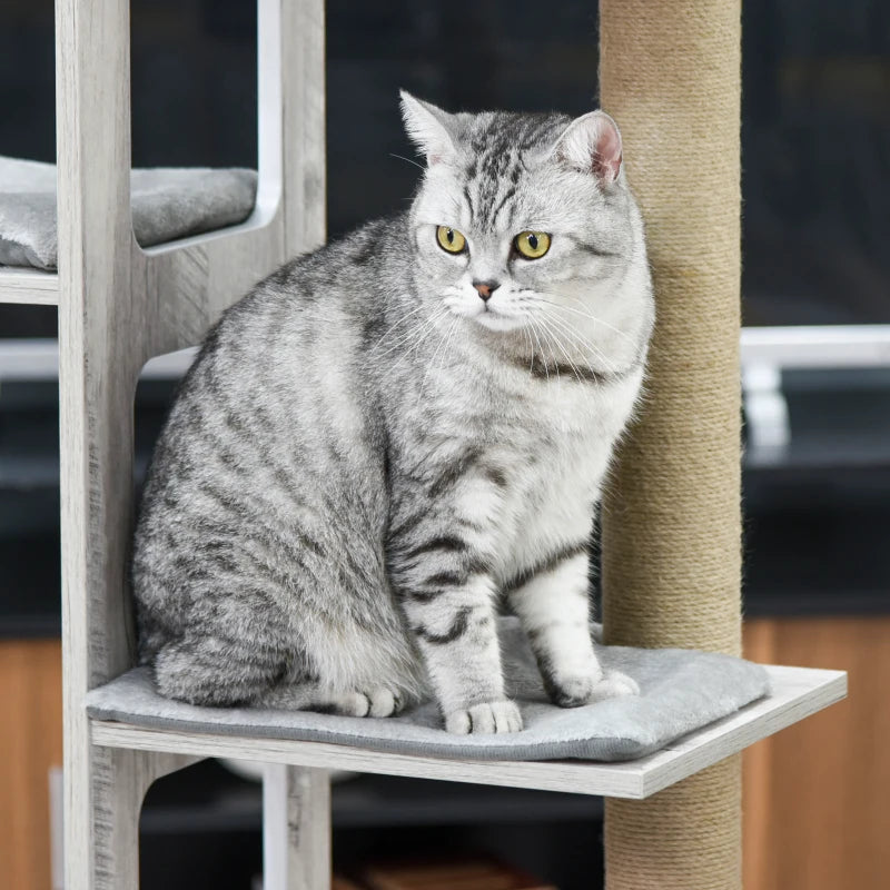 Cat Tree Tower, Activity Centre, with Scratching Posts, Cat House, Perches - Grey