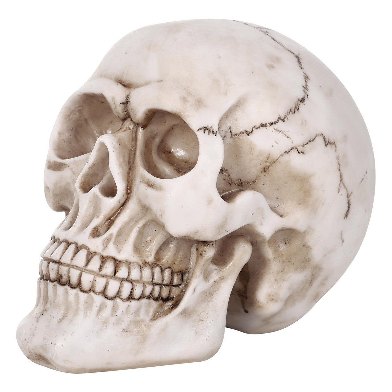 Halloween Life Size Skull