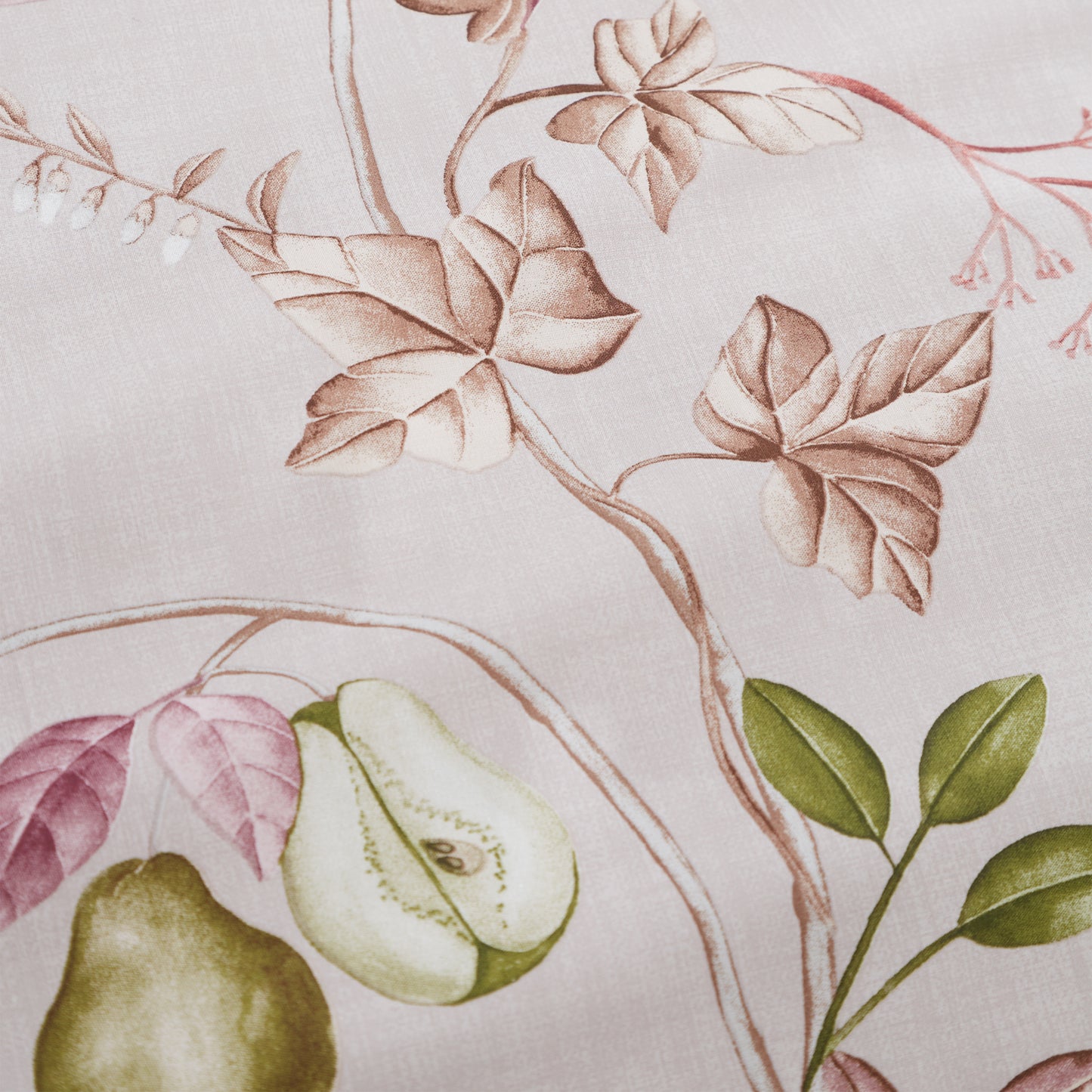 Francesca Floral 200 Thread Count Cotton Reversible Duvet Cover Set in Cream Pink by Bianca