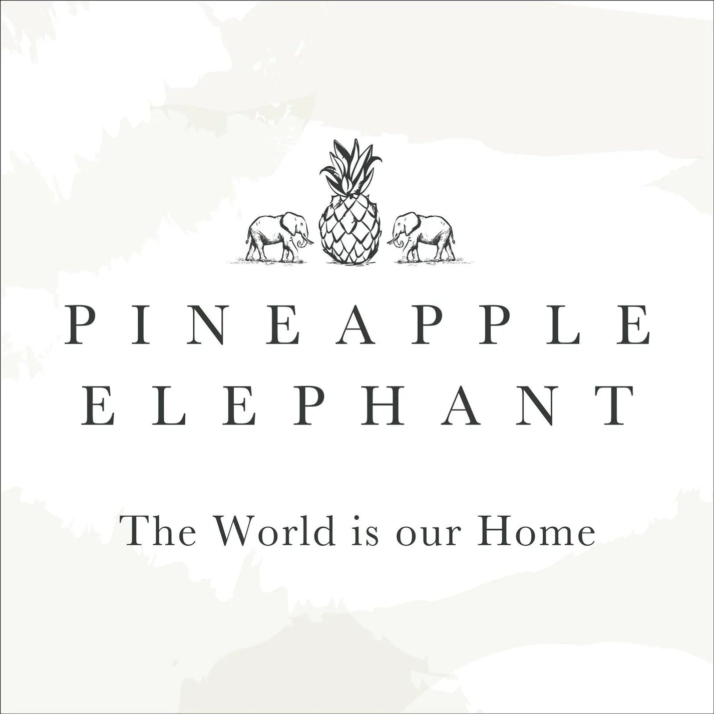 Zofia Broderie Anglaise Voile Curtain Panel Natural - Pineapple Elephant