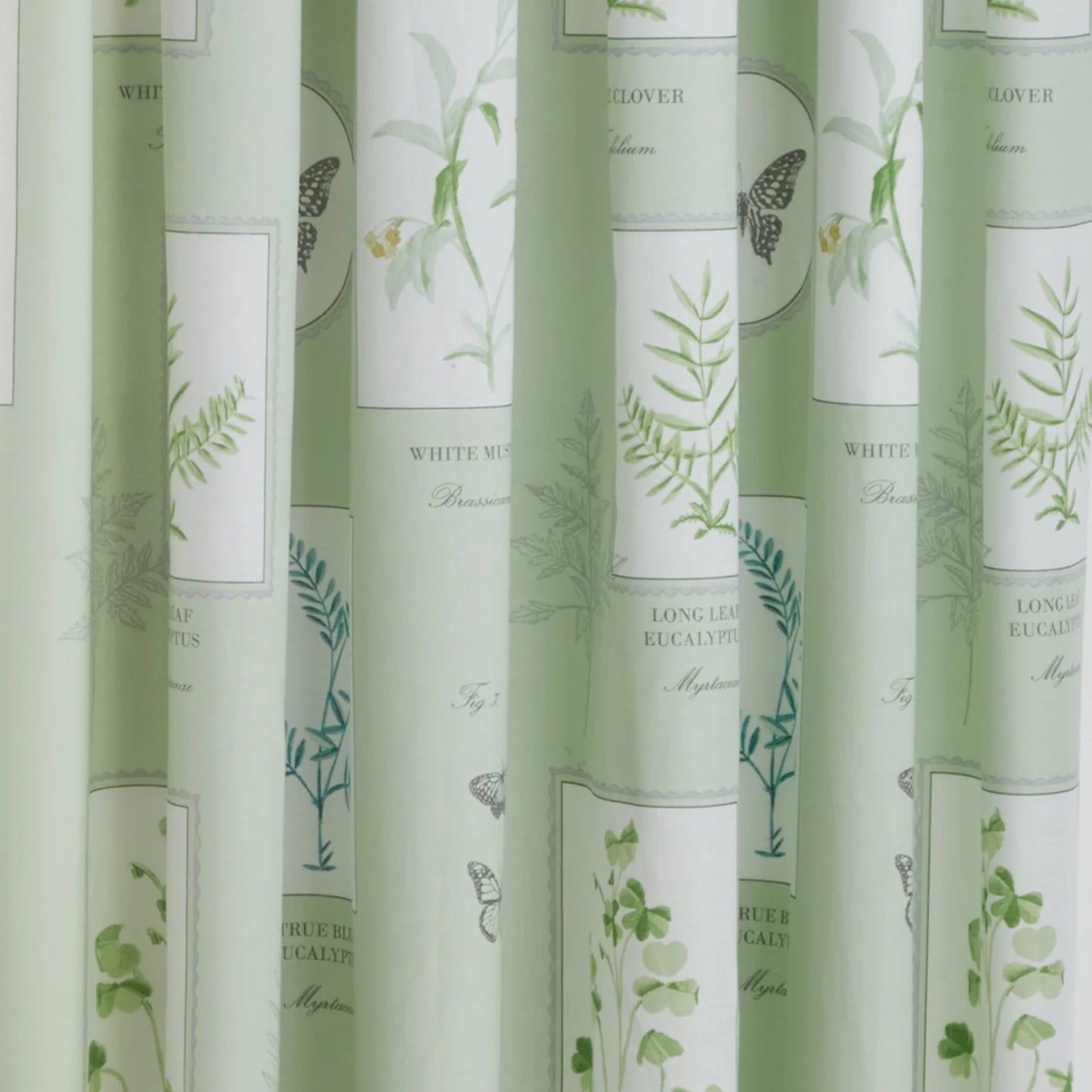 Floral Garden Pencil Pleat Curtains With Tie-Backs by Dreams & Drapes Design in Green