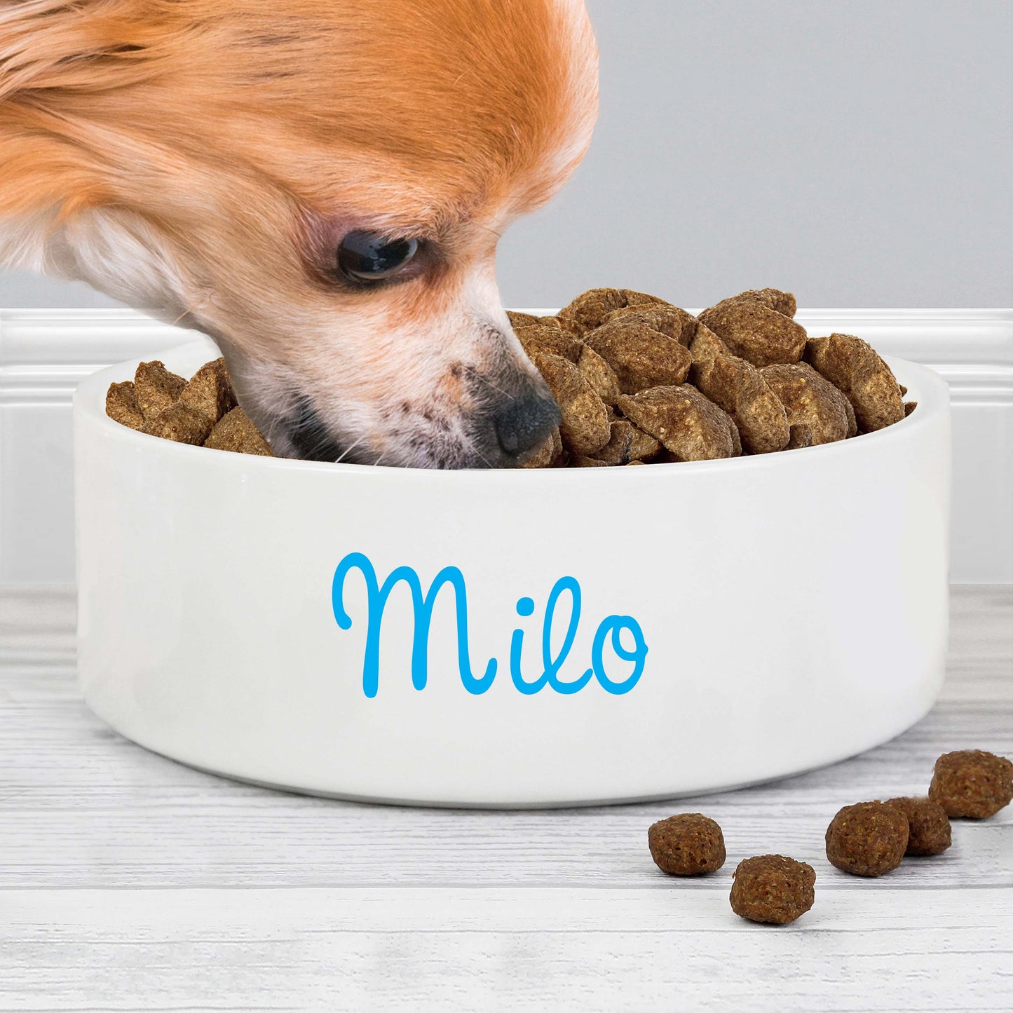 Personalised Blue Name 14cm Medium Pet Bowl