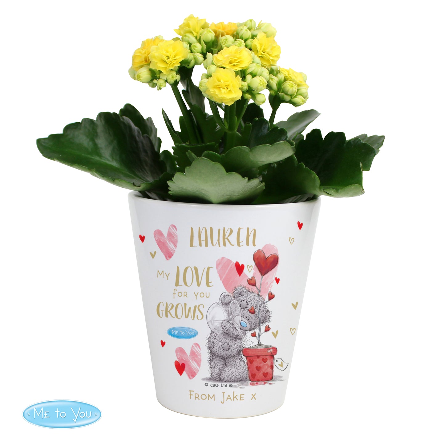 Personalised Me To You Love Grows Plant Pot