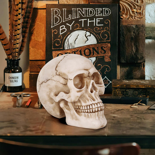 Halloween Life Size Skull