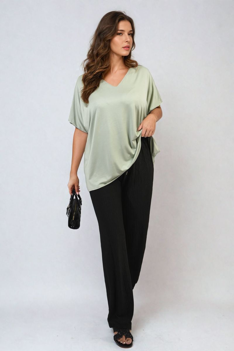 Short Sleeve V-Neck Loose Top