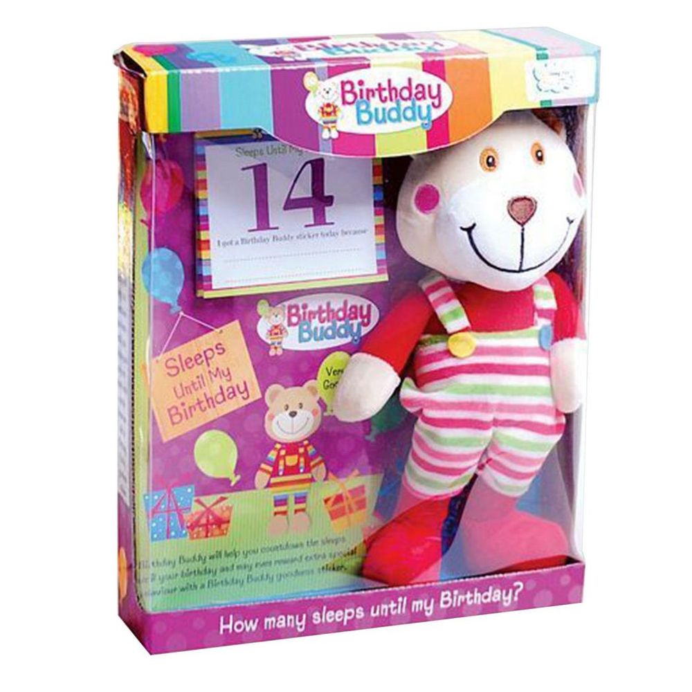 Birthday Buddy (Boy)- Count Down Birthday Bear Toy