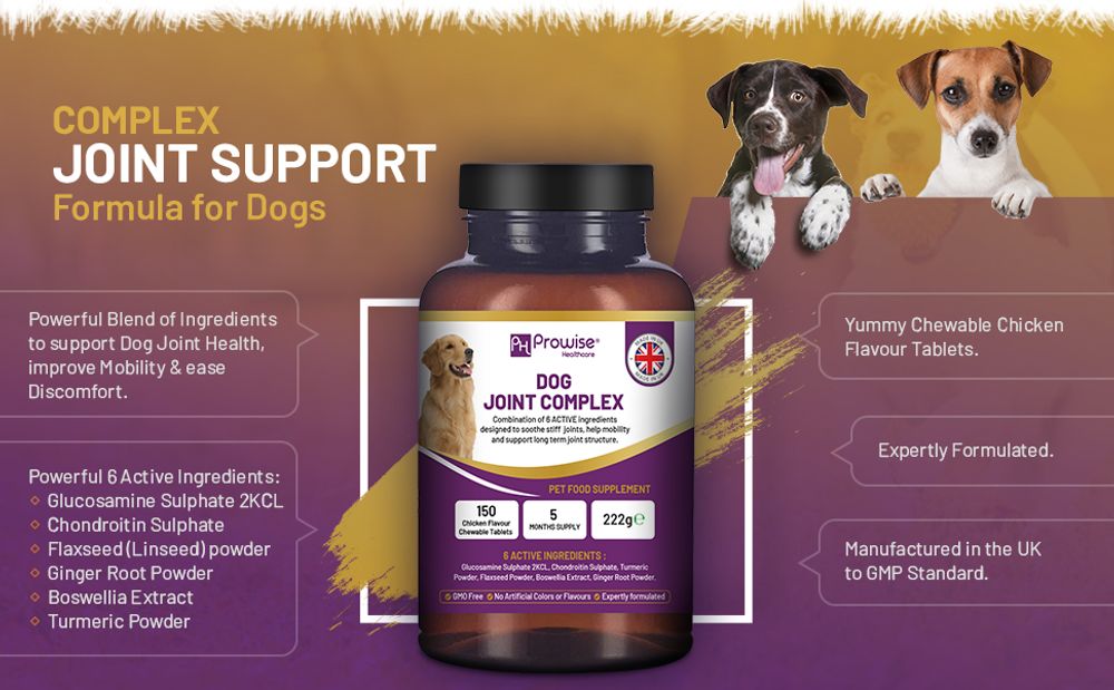 Dog Joint Support 150 Chicken Chewable Tablets - 5 Months Supply - UK Made by Prowise