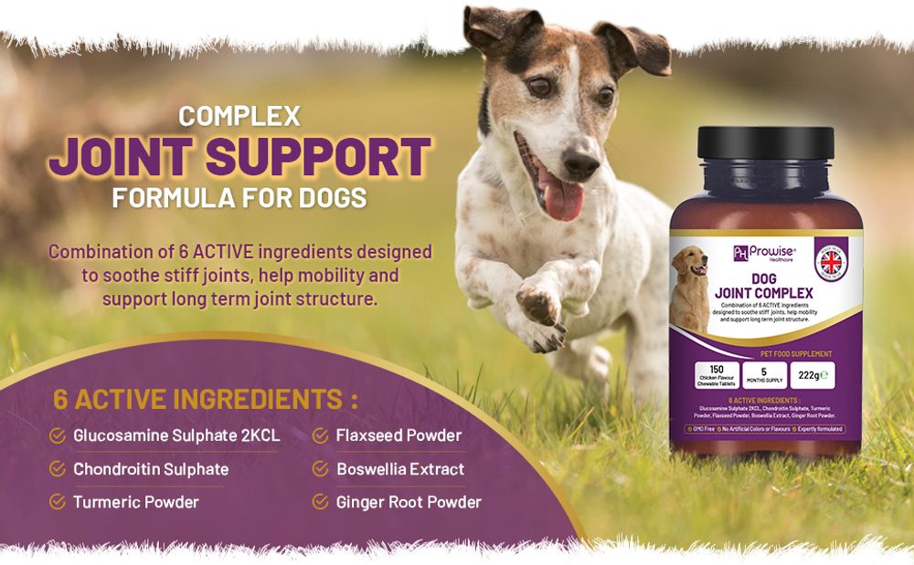 Dog Joint Support 150 Chicken Chewable Tablets - 5 Months Supply - UK Made by Prowise