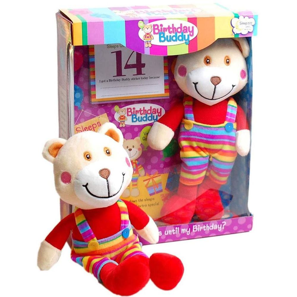 Birthday Buddy (Boy)- Count Down Birthday Bear Toy