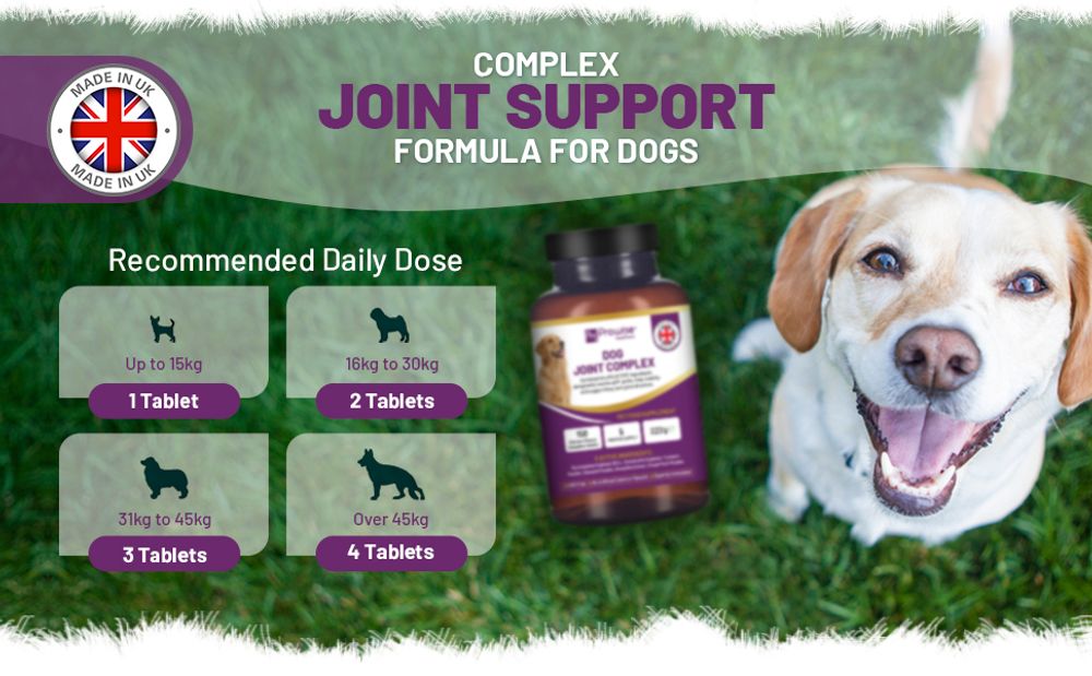 Dog Joint Support 150 Chicken Chewable Tablets - 5 Months Supply - UK Made by Prowise