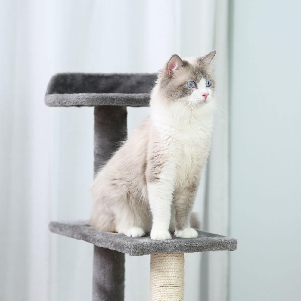 Cat Tree Activity Centre, Kitten Climbing Tower, Plush Scratching Post