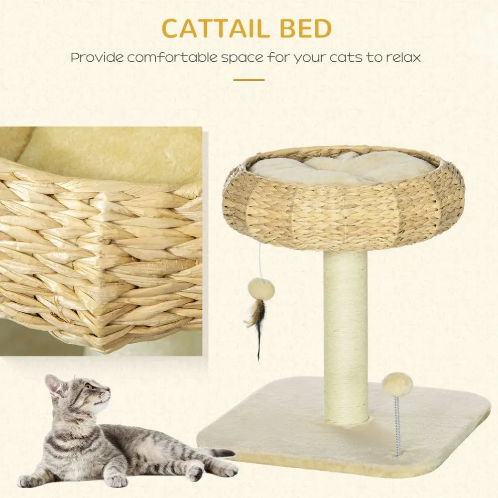 51cm Cat Tree Kitty Activity Centre with Top Bed, Toy Ball and Sisal Scratching Post