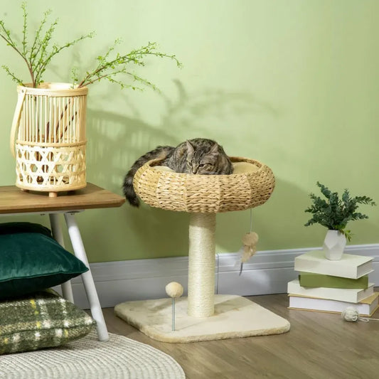 51cm Cat Tree Kitty Activity Centre with Top Bed, Toy Ball and Sisal Scratching Post