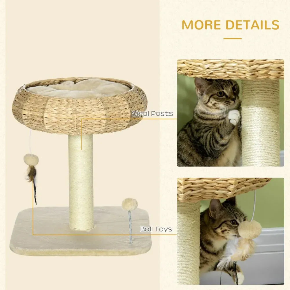 51cm Cat Tree Kitty Activity Centre with Top Bed, Toy Ball and Sisal Scratching Post