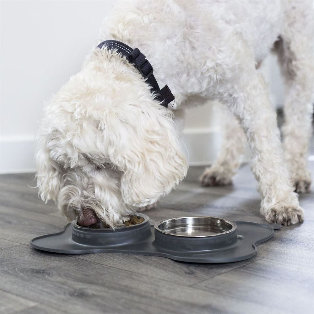 3 in 1 Slow Eating Animal Bowls with Non Slip Mat